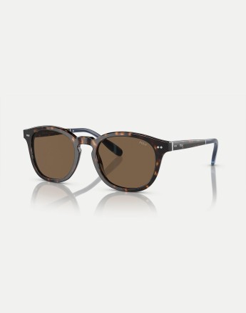 Polo Ralph Lauren Ph4206 phantos sunglasses with brown lens in shiny dark havana
